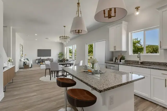 The Bonsai. kitchen and family room